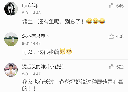 深圳公安官微提醒张翰蘑菇有毒 盘点那些年被警察蜀黍盯上的明星