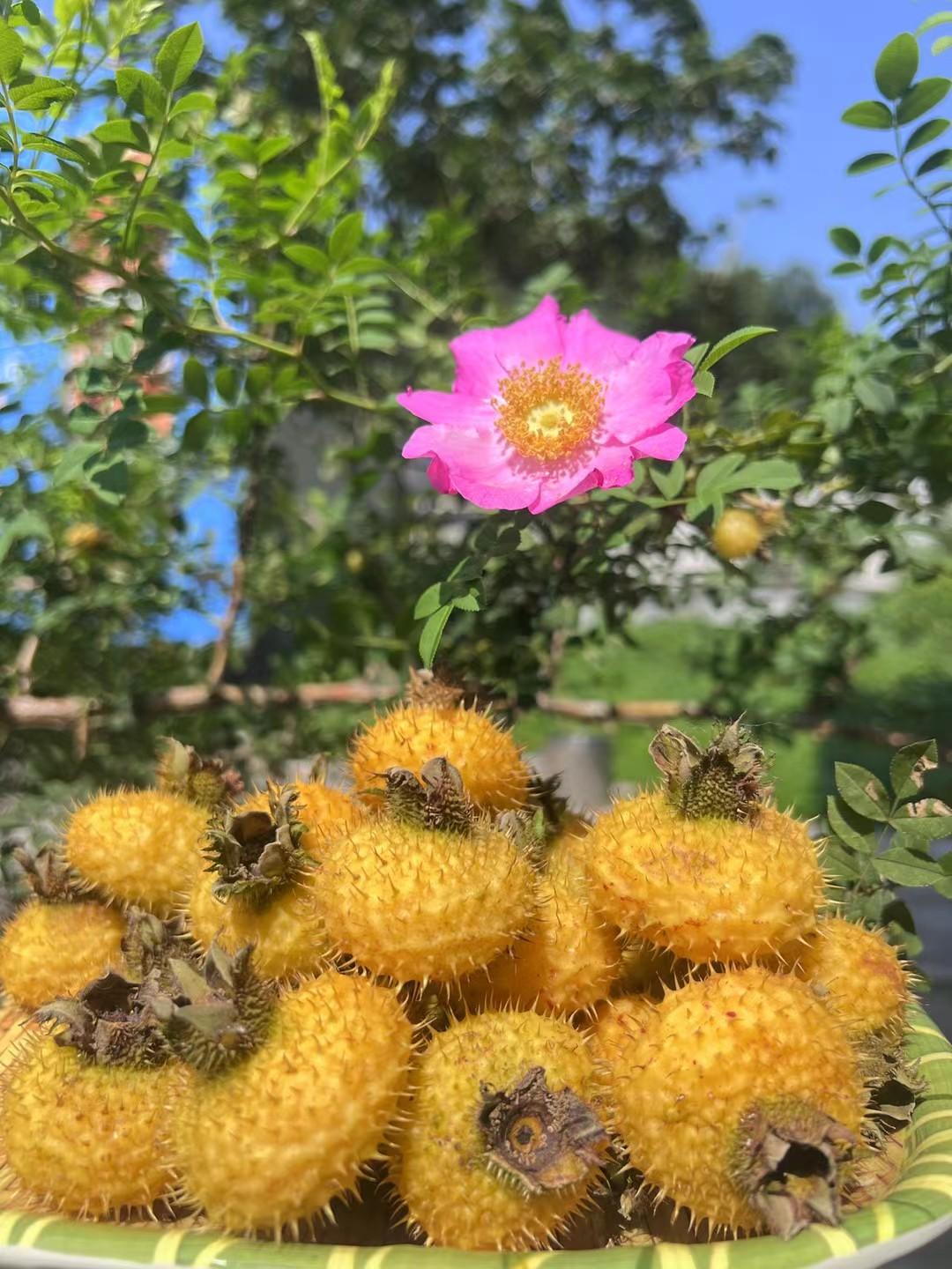 现阶段的行情，太割裂了。成交量还在不断萎缩，越来越接近1.5万亿了，面对这么割裂