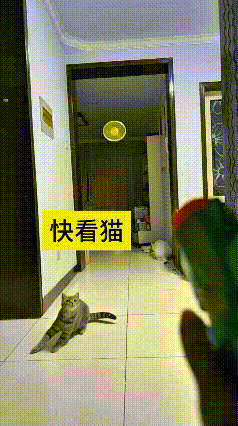 在家陪着俺家小猫耍，真是件可得劲的美事。把小飞碟玩具一扔出去，你瞅瞅猫咪那反应，