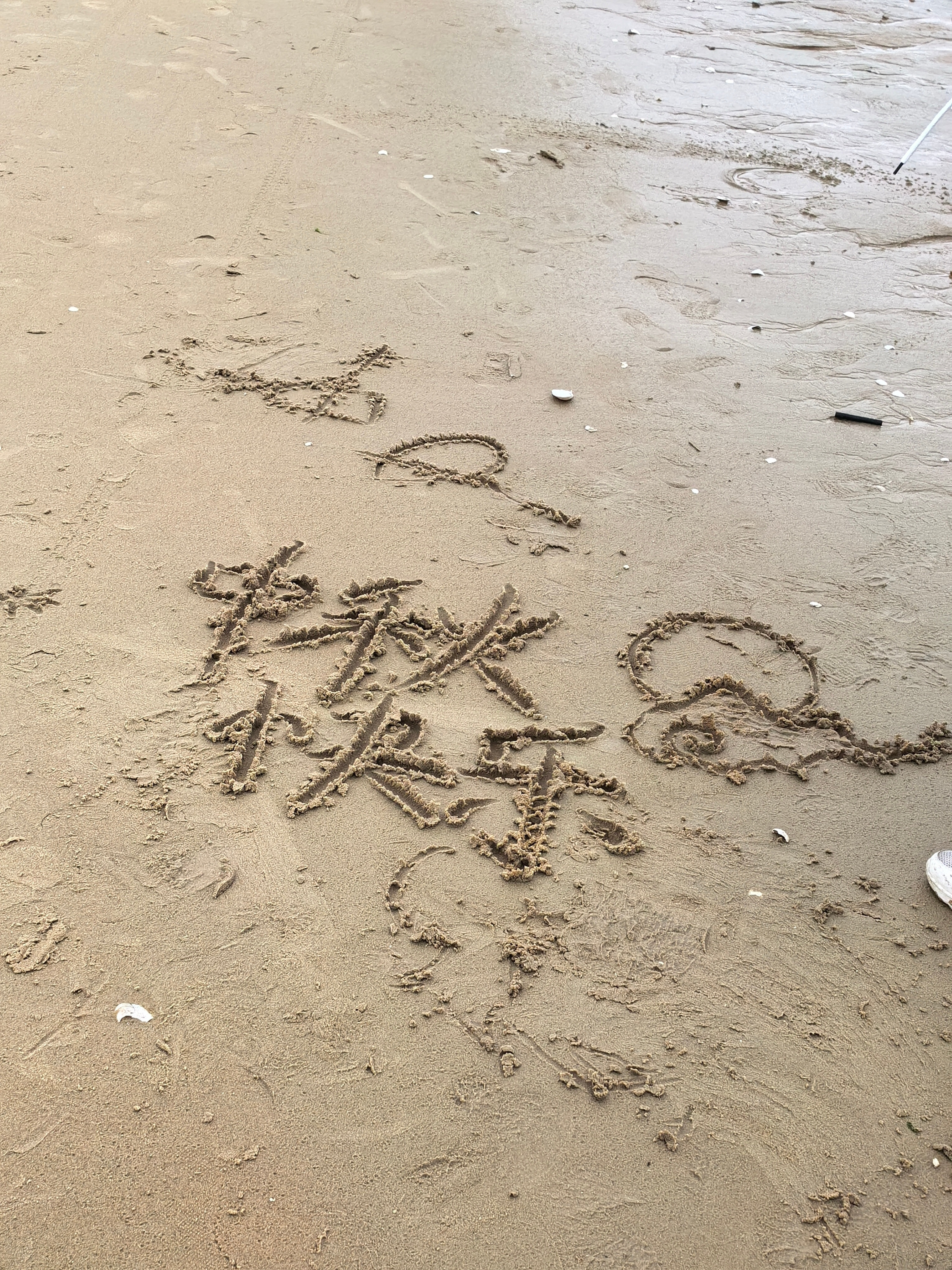 下午赶海时海鸥在头顶飞海水轻抚“马扎”那一刻仿佛时光倒流了祝大家中秋节快乐！🎑