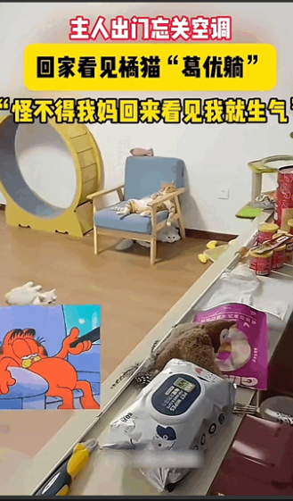 日子怎么可能跟谁给过都一样！山东，女子早上上班太着急忘记关空调了，晚上下班回家后