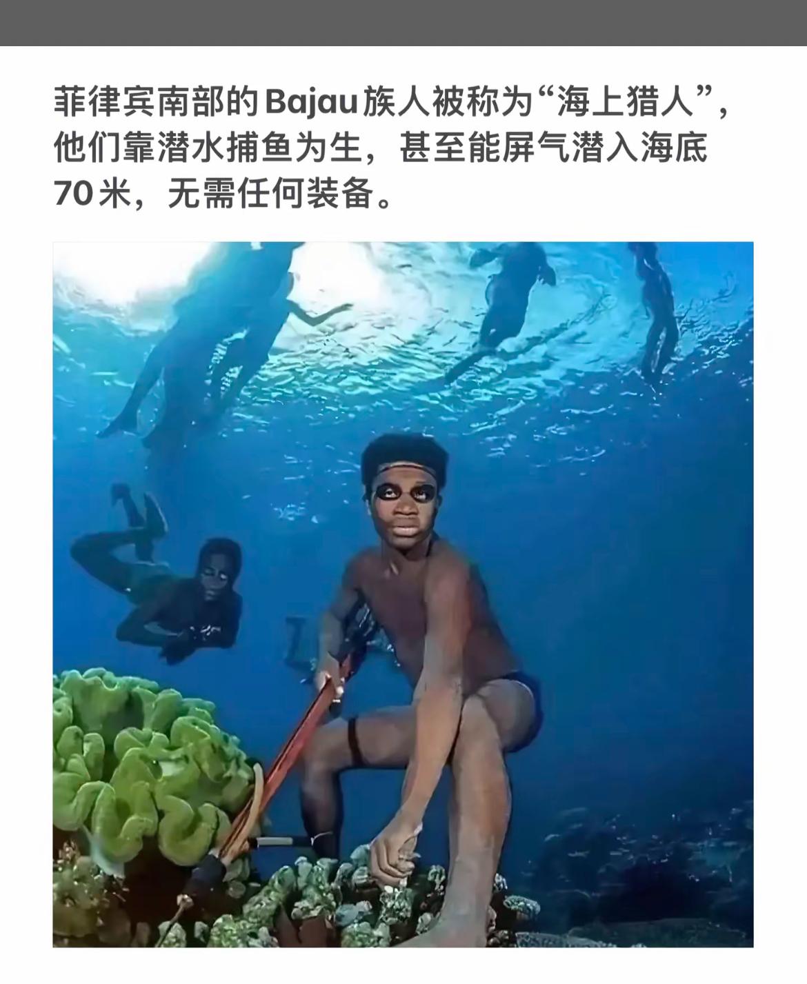 探索海底世界，与海浪共舞