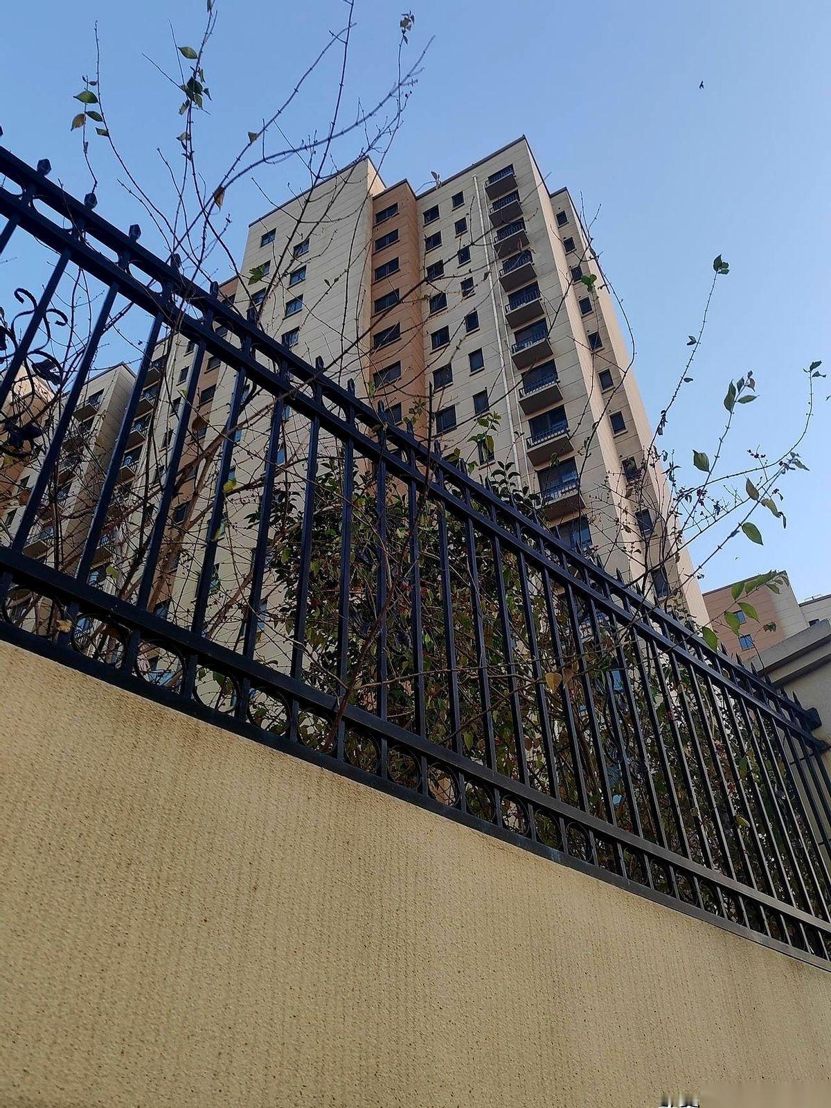 我那正营退役的战友，去开网约车了。对，你没听错，一个月拿8000块逐月金的正营