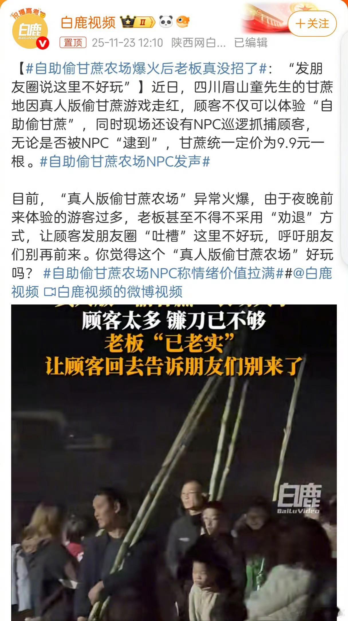 商业鬼才！真的是鬼才！