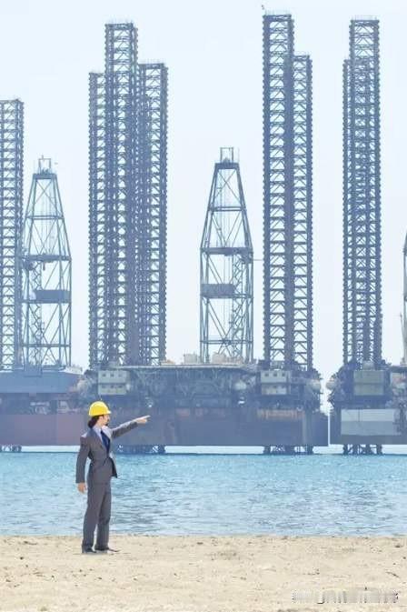 你见过哪个国家敢随便查苹果、罚谷歌、扣壳牌的船？没有。因为动了他们，第二天大使馆