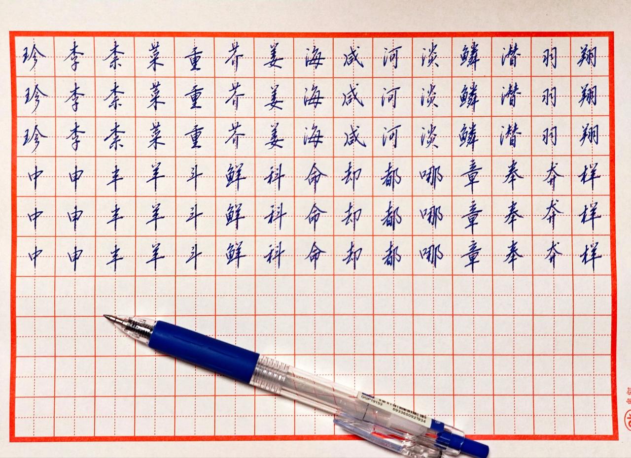 江湖不过半卷书。硬笔爱好者坚持练字传承中华文化