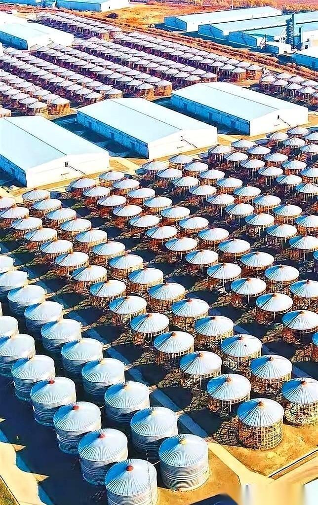 都说是在勒紧裤腰带囤货，结果账本一亮，2025年，我们居然还多赚了1.2万亿美元