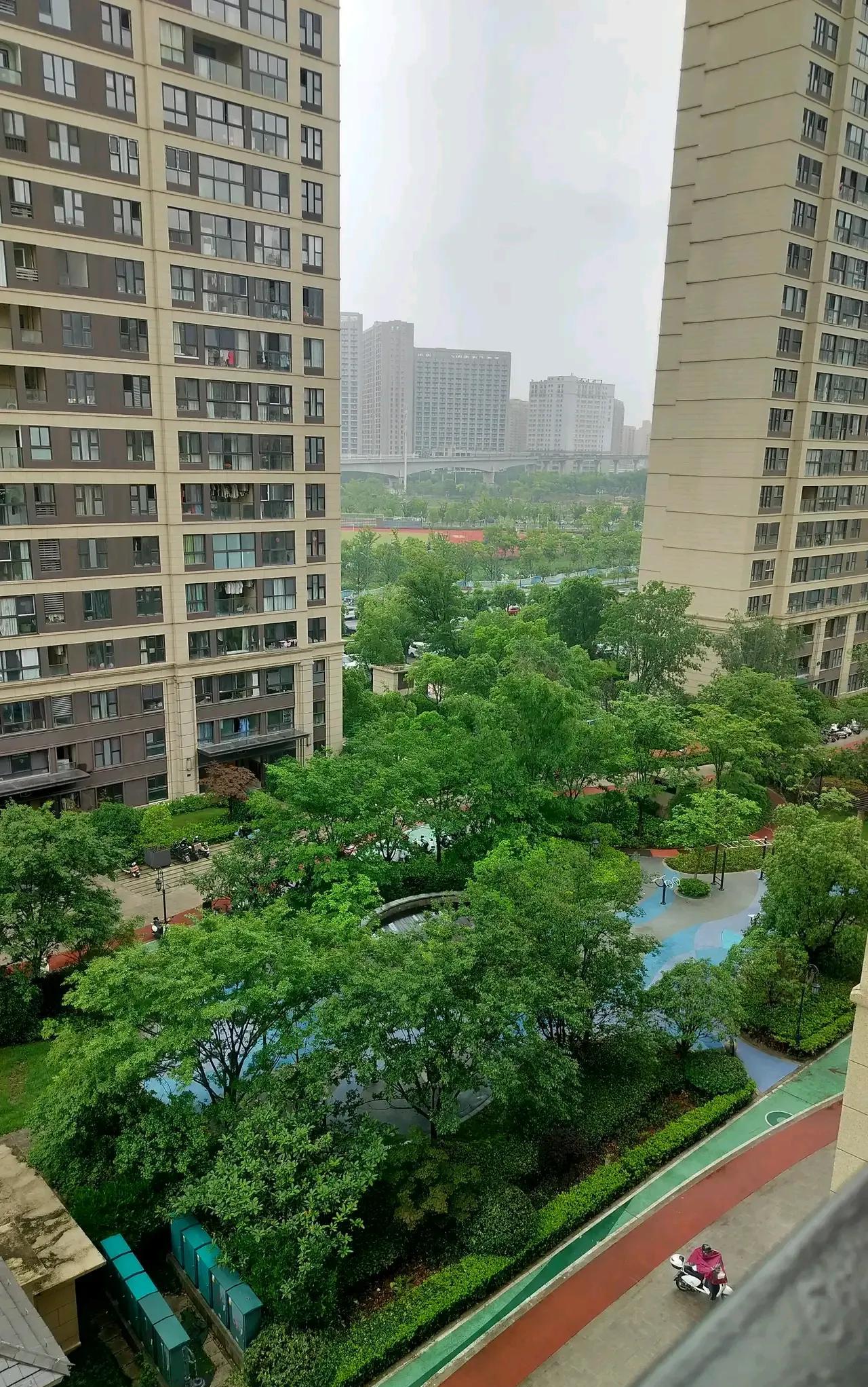 楼下那个80多岁的独居老人，前几天突然去世了，他的儿子儿媳妇住在外地。他们风风