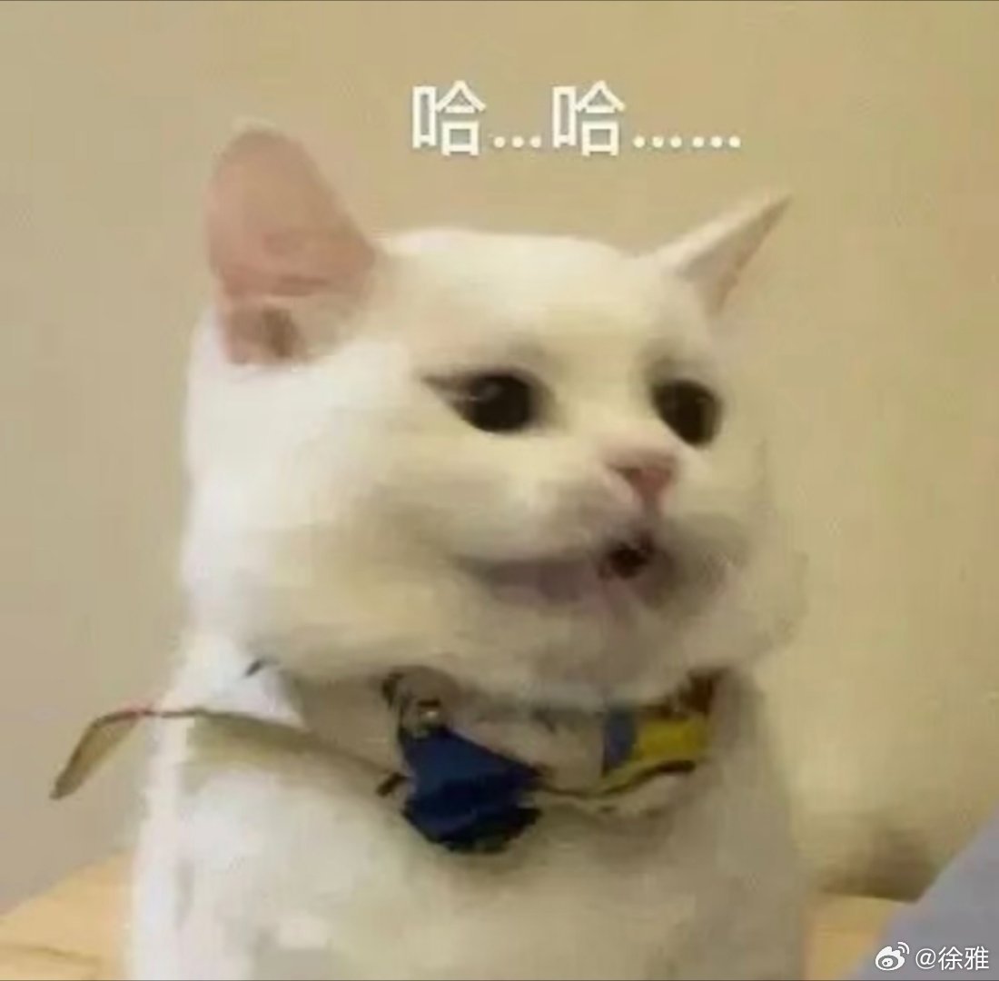 小猫表情包。​​​