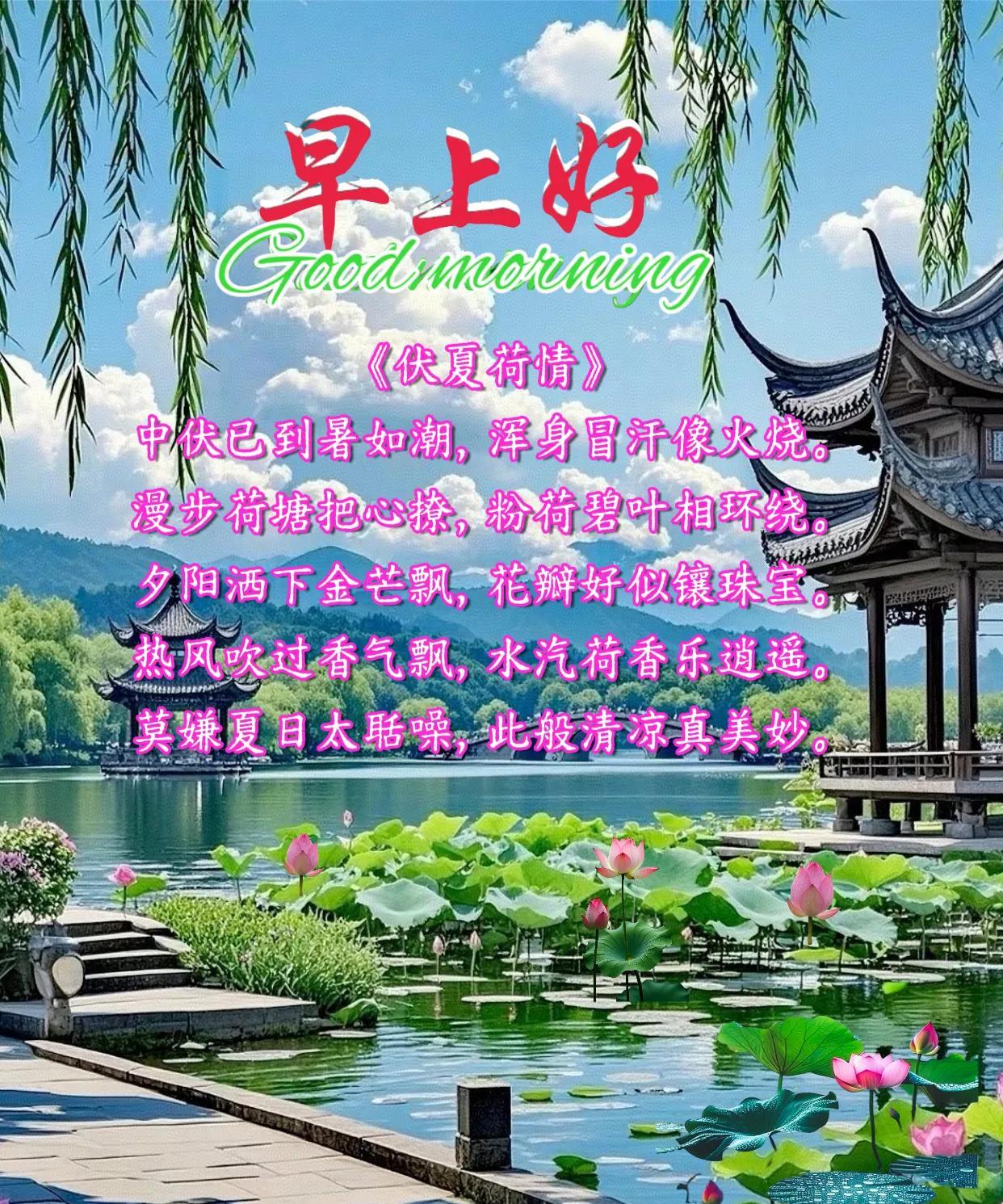 朋友：早上好！《伏夏荷情》中伏已到暑如潮，浑身冒汗像火烧。漫步荷塘把心撩，