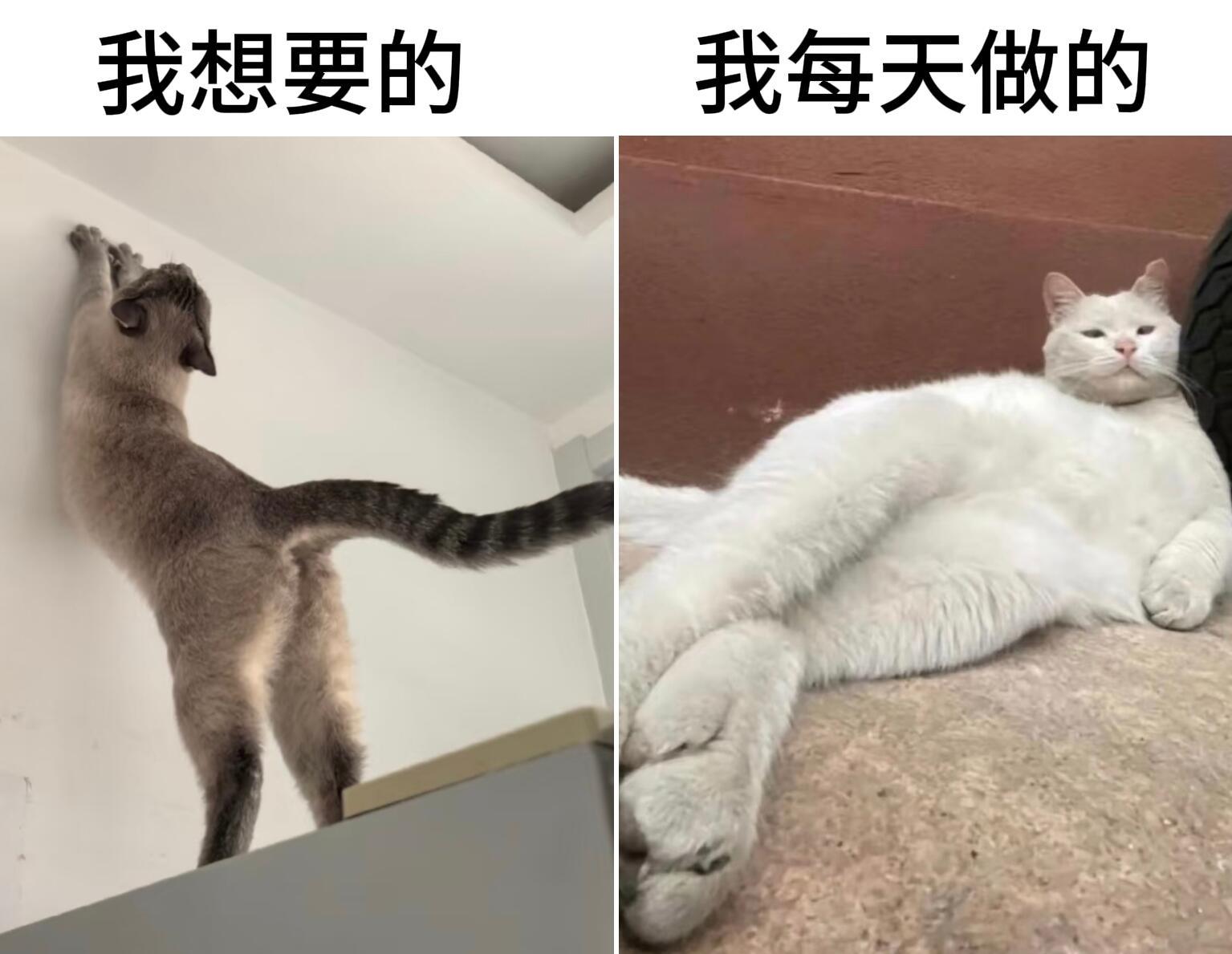 不知道我的身材很曼妙