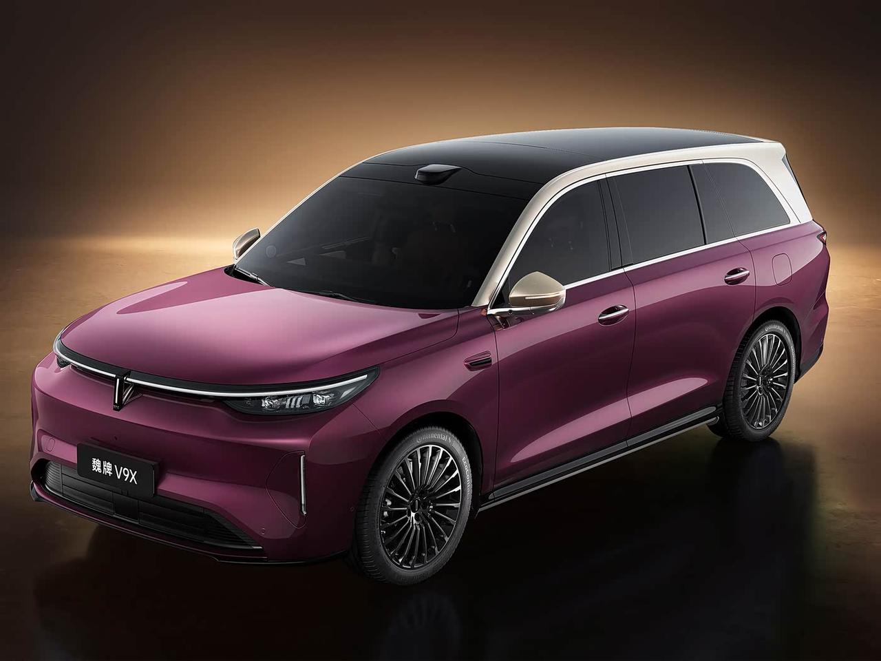 哈弗H6、哈弗大狗、哈弗猛龙以及坦克系列SUV等，受到了广大消费者的欢迎，而我个