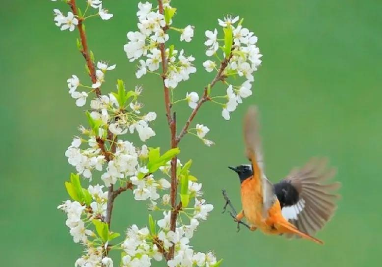 非常有道理的话：当你的孩子主动给你买衣服，买吃的，或者主动给你发红包，不管你缺