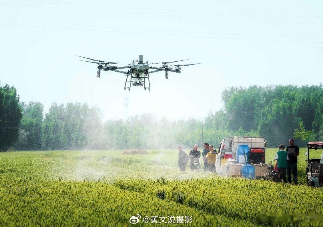 6月3日“黄文说十八选”！今日主题——“夏日交响之七：夏忙”。气温攀升，越来越多