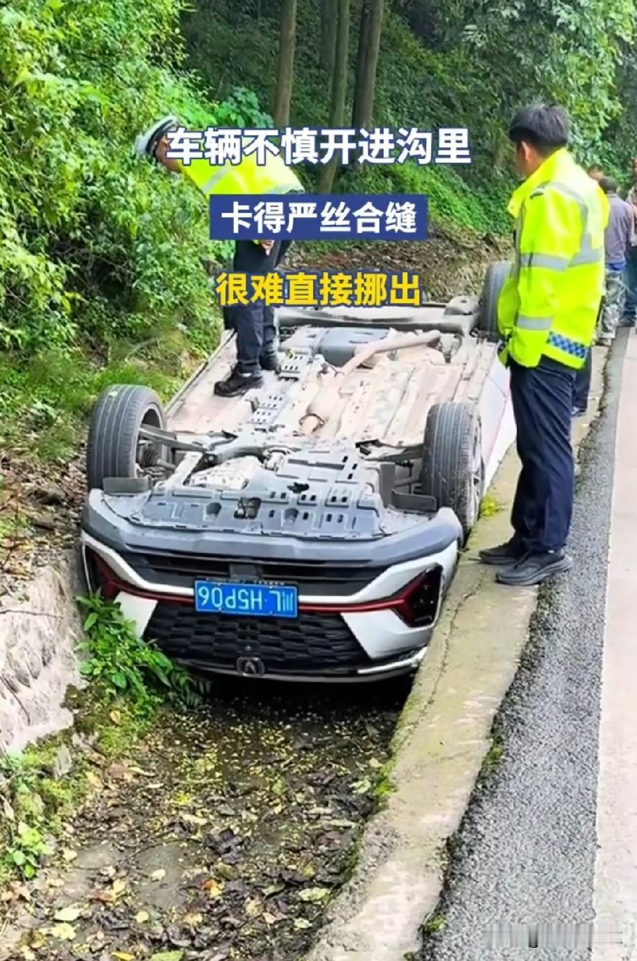这是高手[赞]
