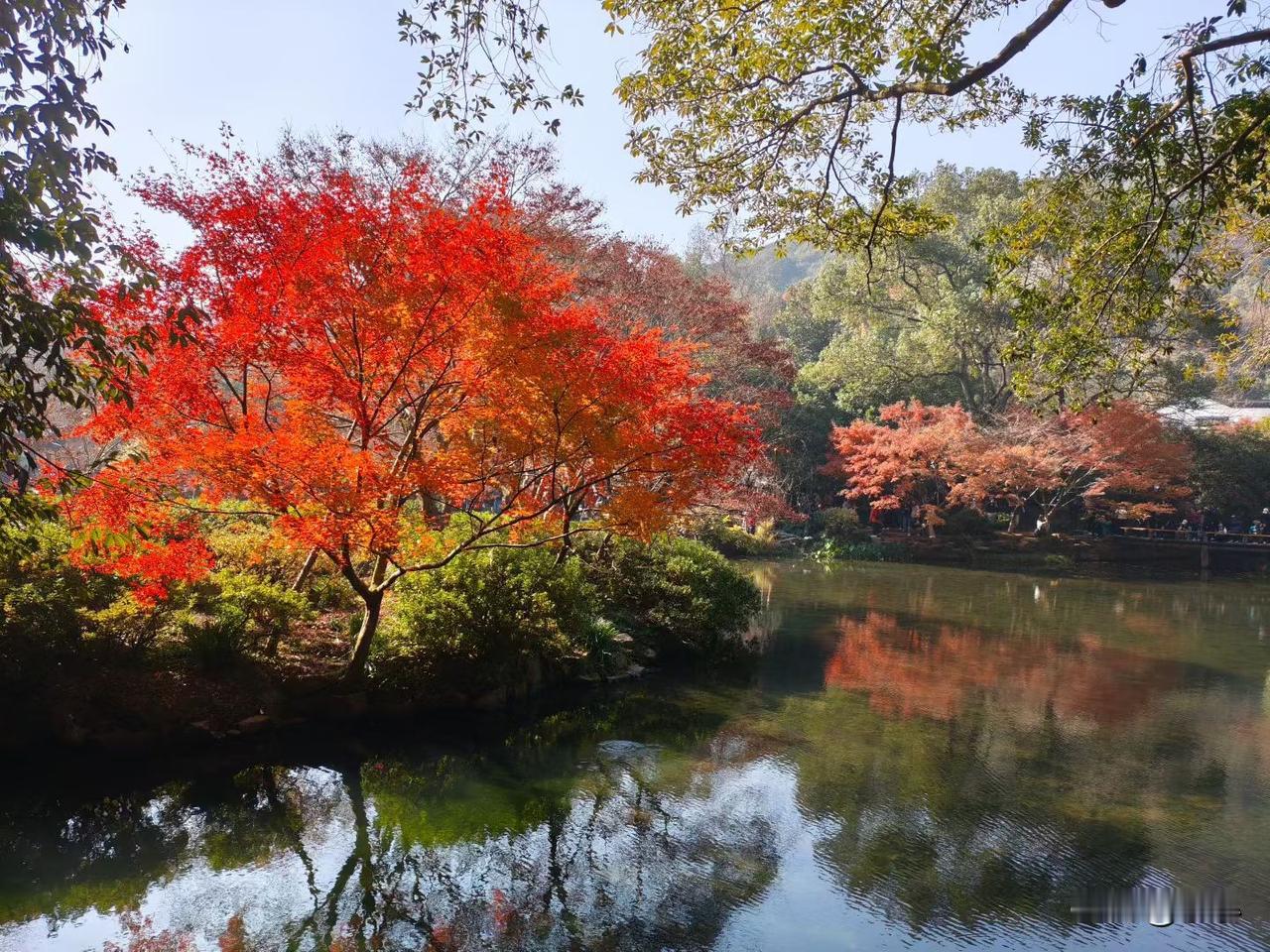 现在真的是十个人有八个人负债吗？昨晚打了一晚上电话，为了追债，我的负债也是因