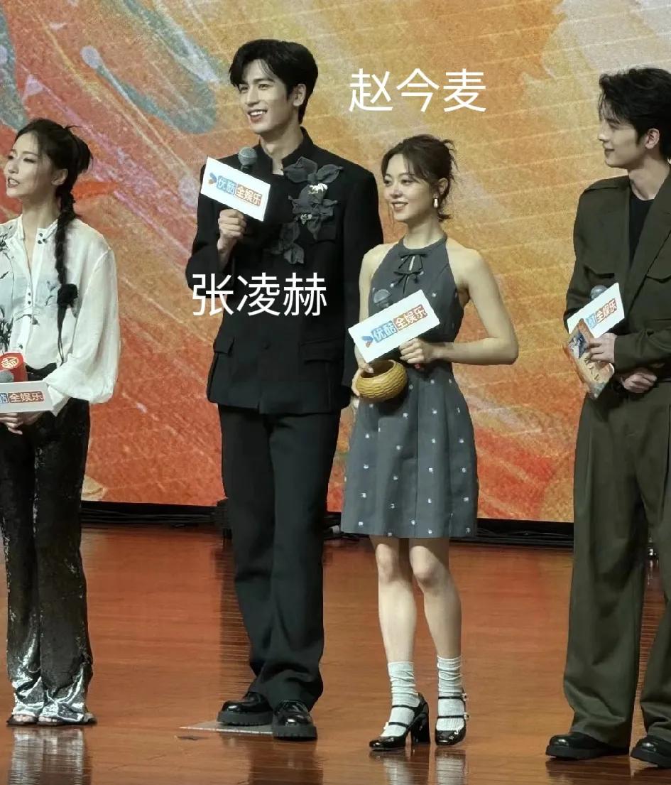 网友说:“张凌赫只要不演将军就很好看，比如和赵今麦演裴文宣时，裴相角色是最适合他