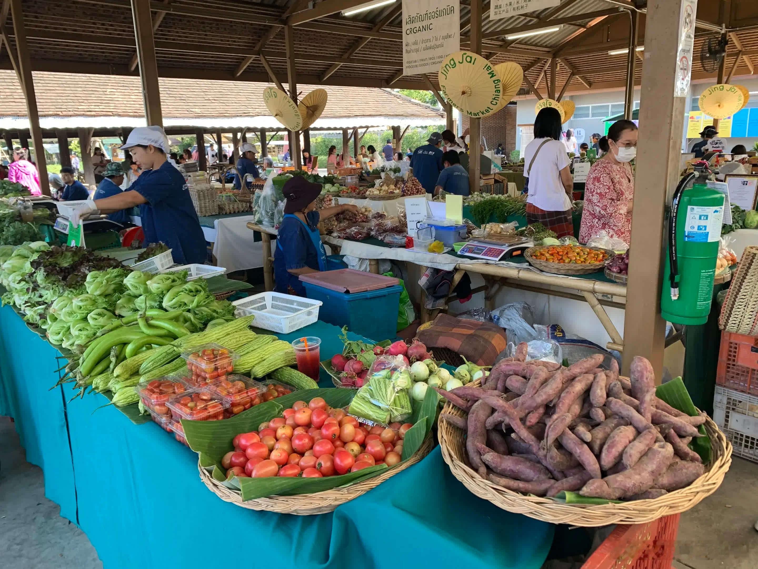 来清迈的日子从不用刻意安排——早市的烟火是叫醒你的闹钟，夜市的热闹是填不满的欢喜
