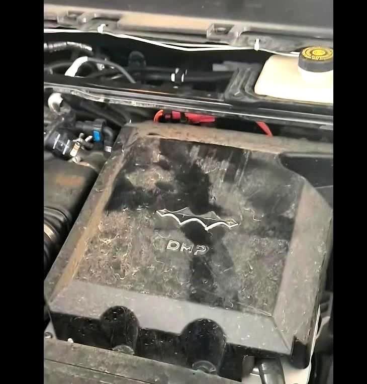 网爆方程豹钛七和唐L是同平台，说白了就是钛七＝唐L（方盒子混动版本）一鱼多吃还得