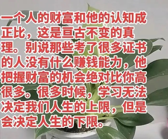 一个人的财富和他的认知成正比，这是亘古不变的真理。别说那些考了很多证书的人没有什