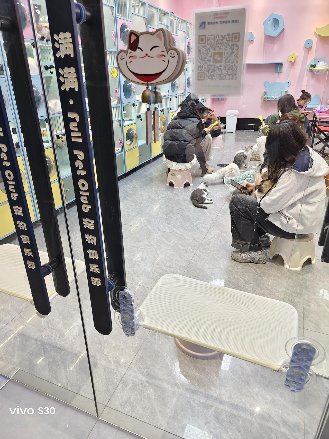 夜幕降临，“猫咪园”里可热闹了，大小不一的猫咪轻柔的喵叫声和戏弄动物的少男少女的