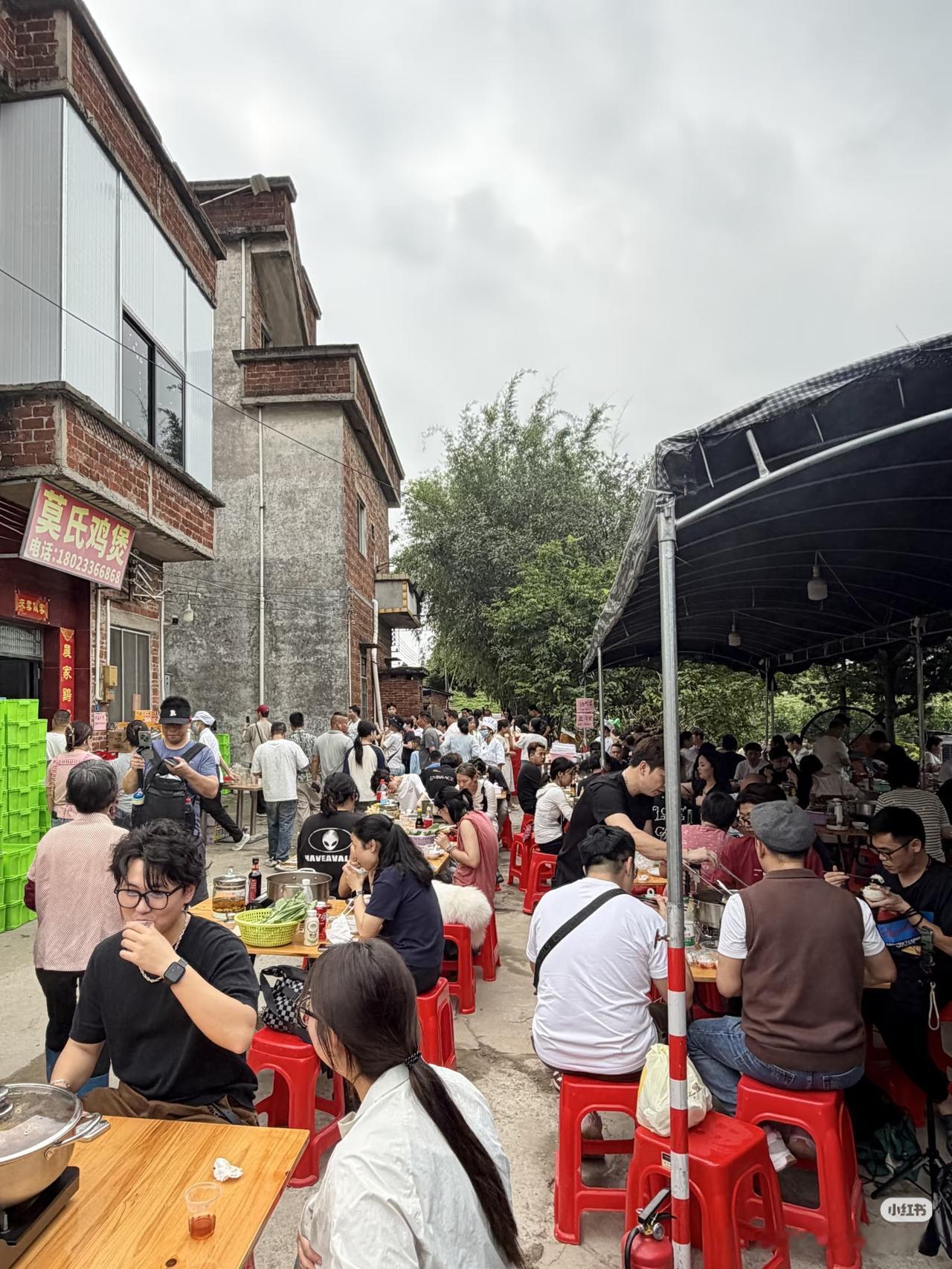 莫氏鸡煲真的一言难尽啊🤮🤮🤮佛山排队王鸡煲店终于来了。饭点座无虚