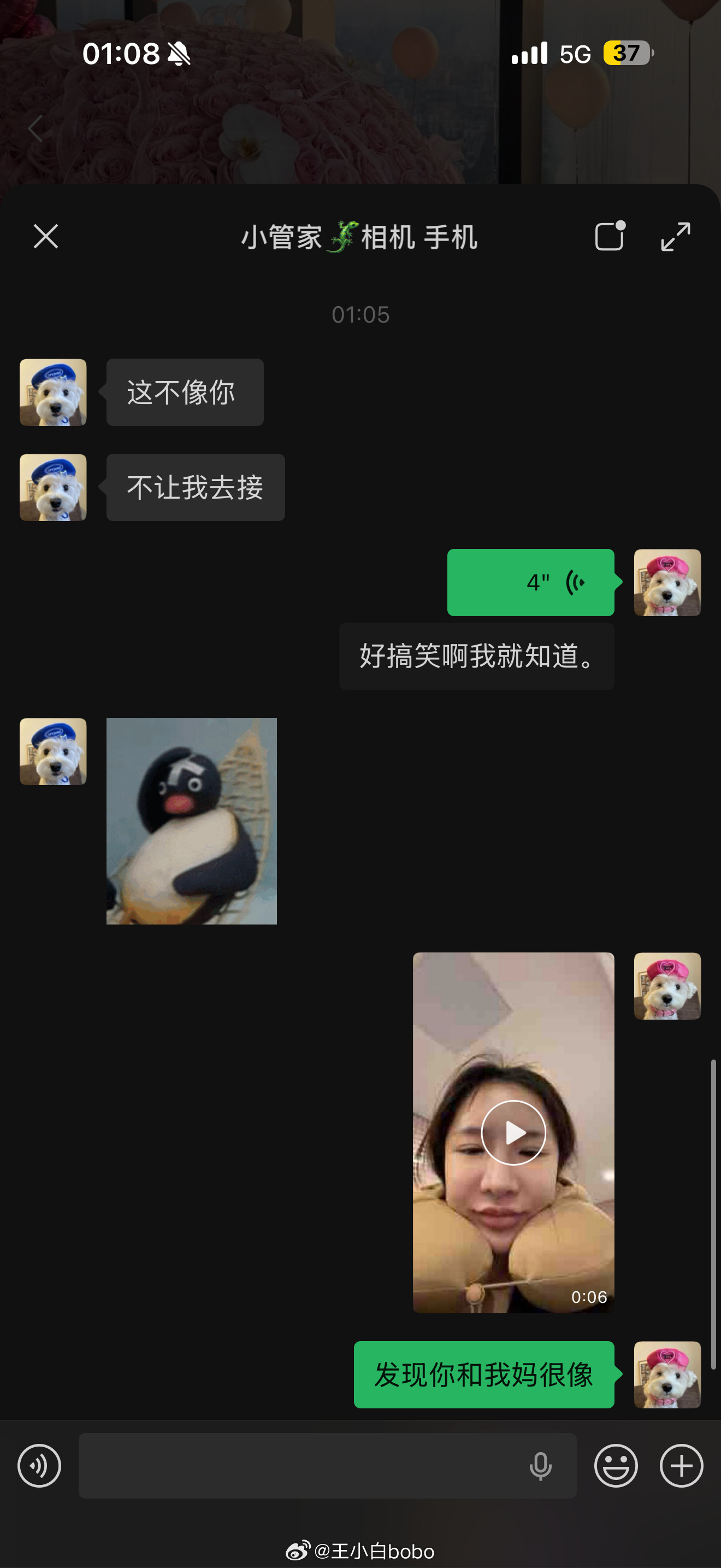 上升天蝎座还是沾点说法问我要不要接机我说不用啊好麻烦你睡觉吧过了没五分钟就发