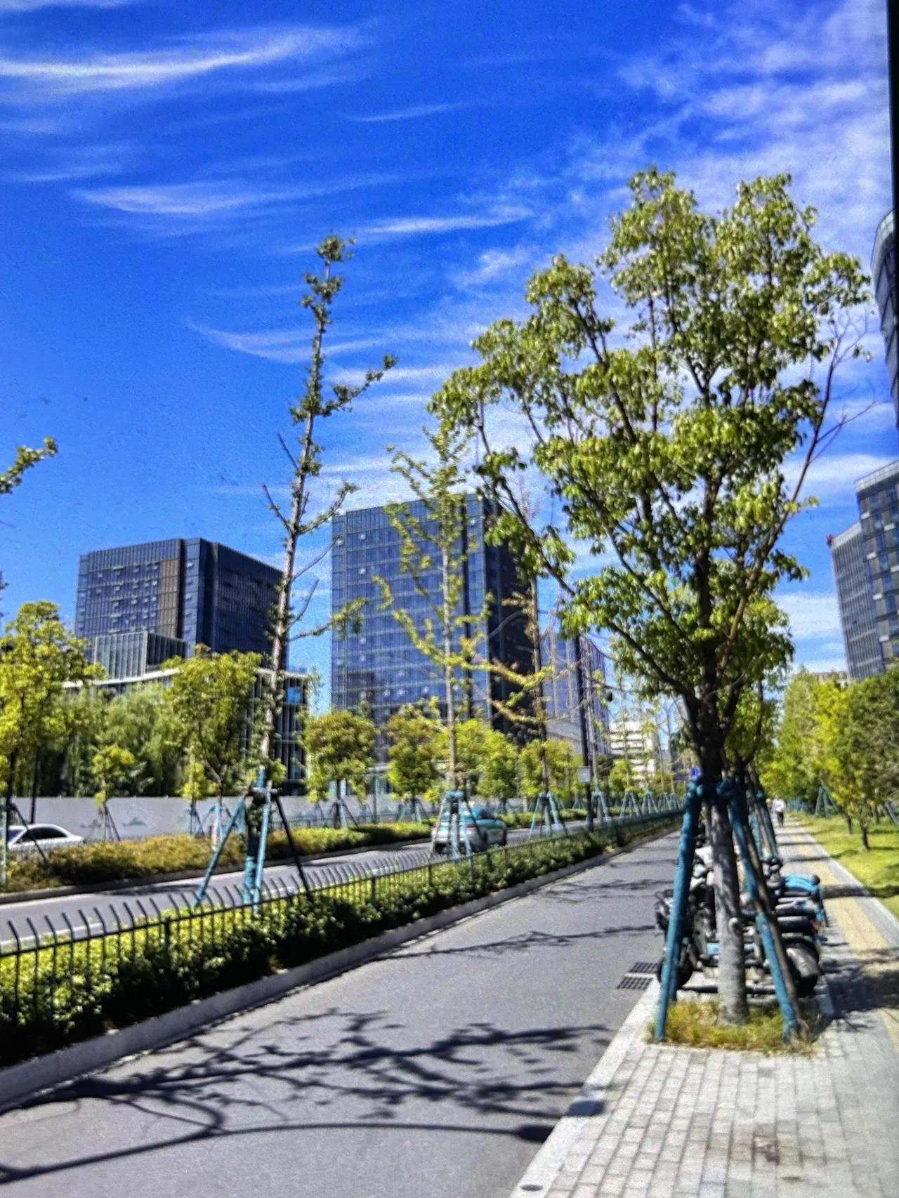 奉劝大家，从今天开始起，中午12点到3点没事尽量别出门，因为今天是7月15日