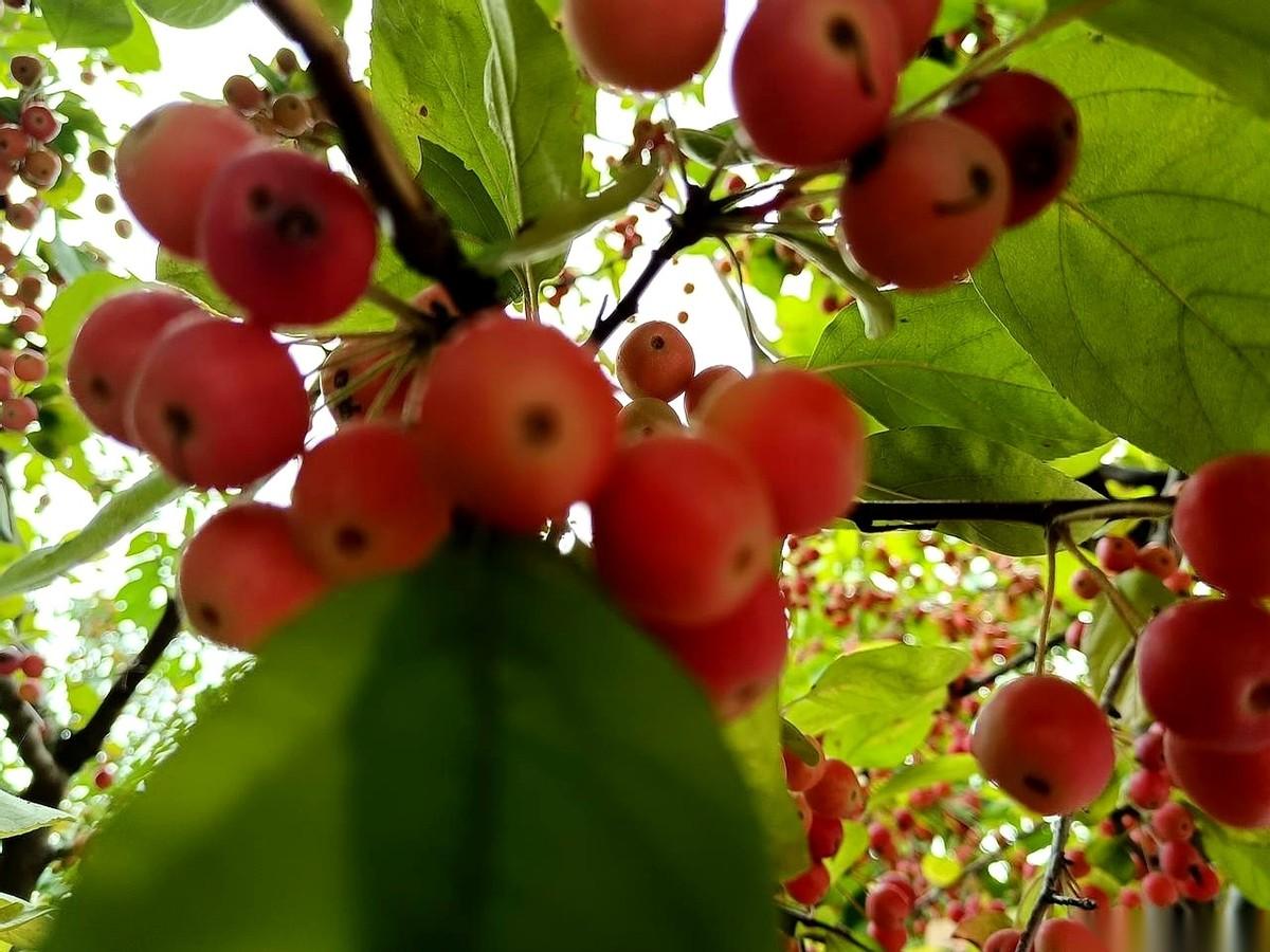 都说人生是场牌局，年轻时瞎抓，什么都想要。到了五十岁才看明白，手里那张叫“健康