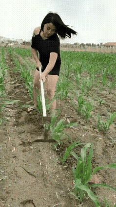 新时代的时尚中国农民，农活干得偷溜。