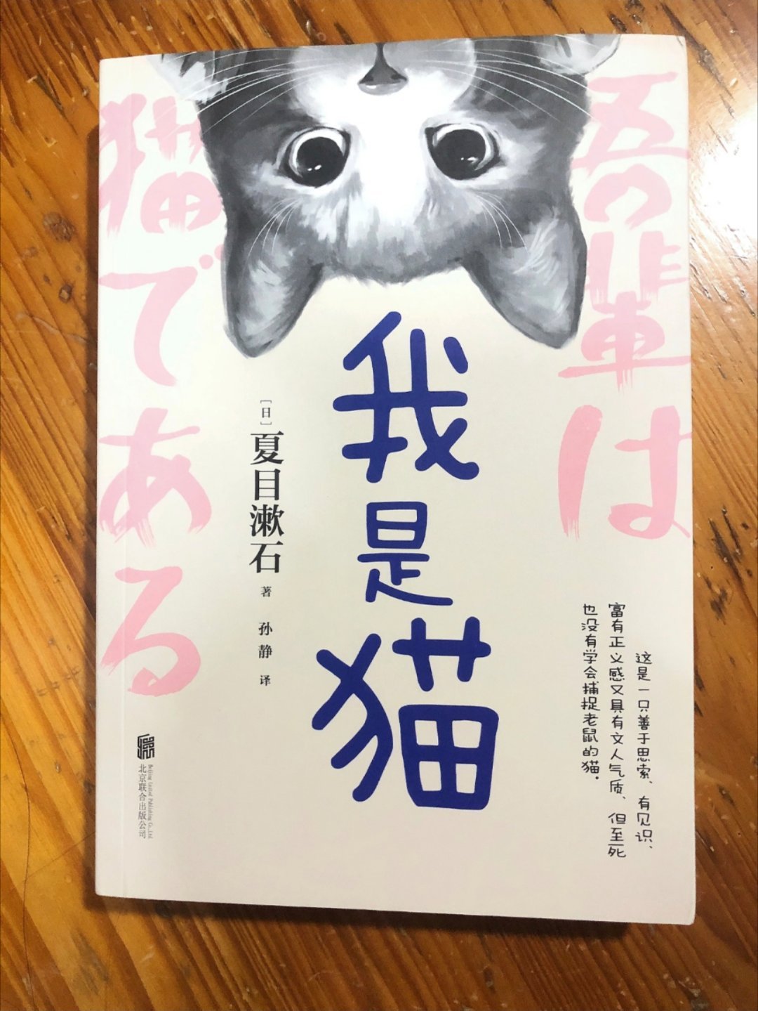 震惊！一只猫竟然看透了人性？！