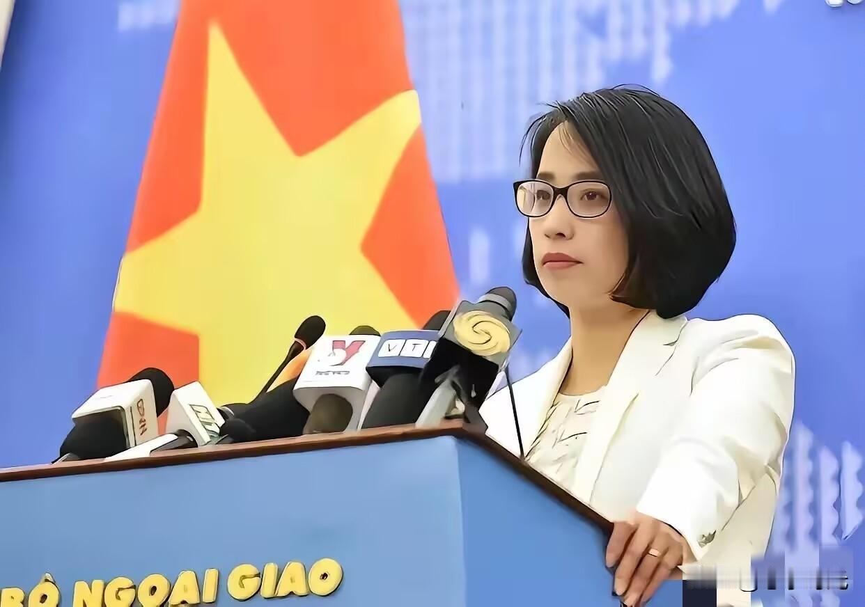 这下热闹了！太平岛一声炮响，越南第一个蹦出来叫阵——问题是，太平岛由台湾方面实际