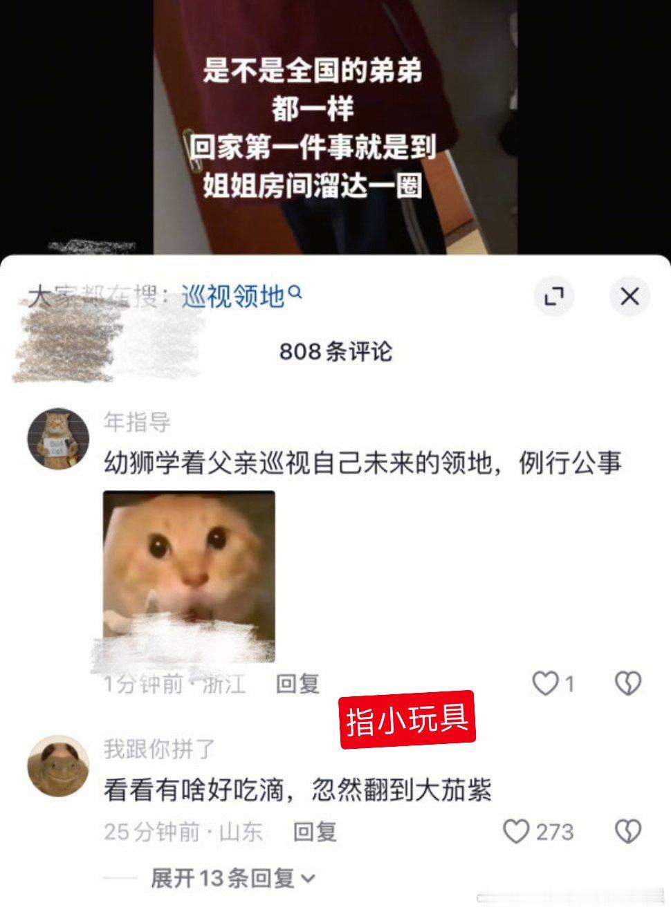 恶心的想吐