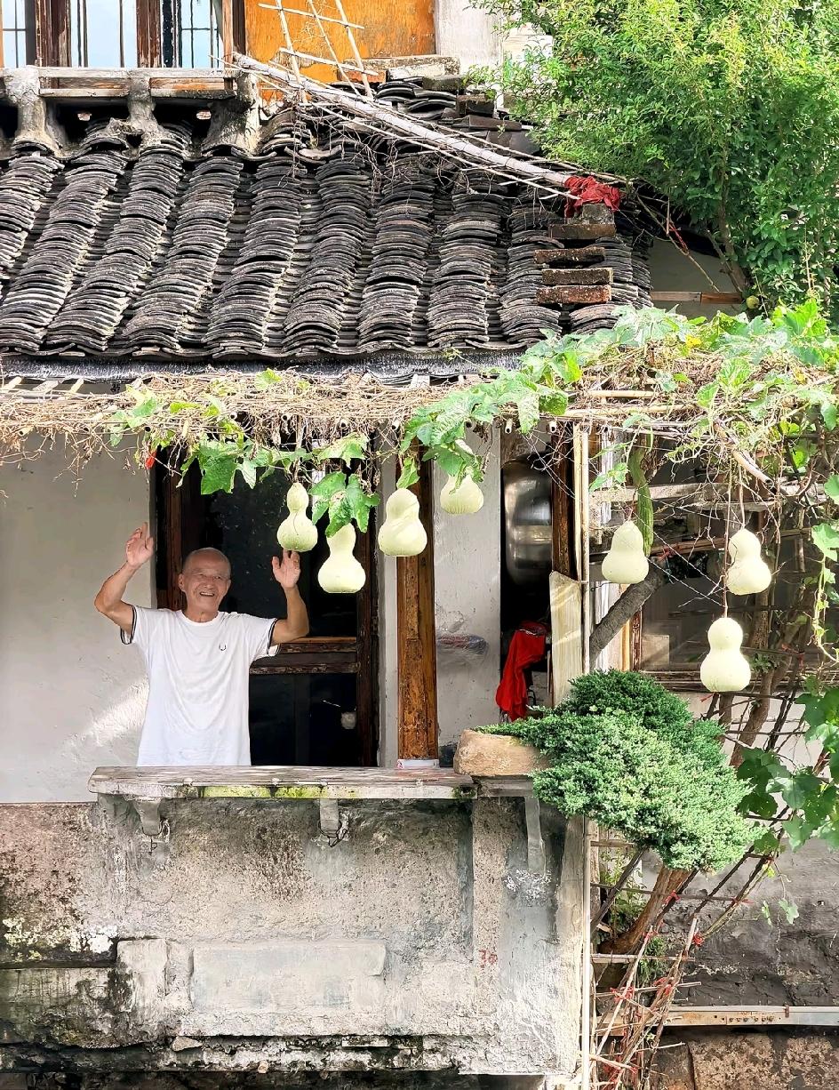 绍兴文旅，你糊涂呀！前脚你还让爷爷别摘葫芦，后脚爷爷就把葫芦给剪了。