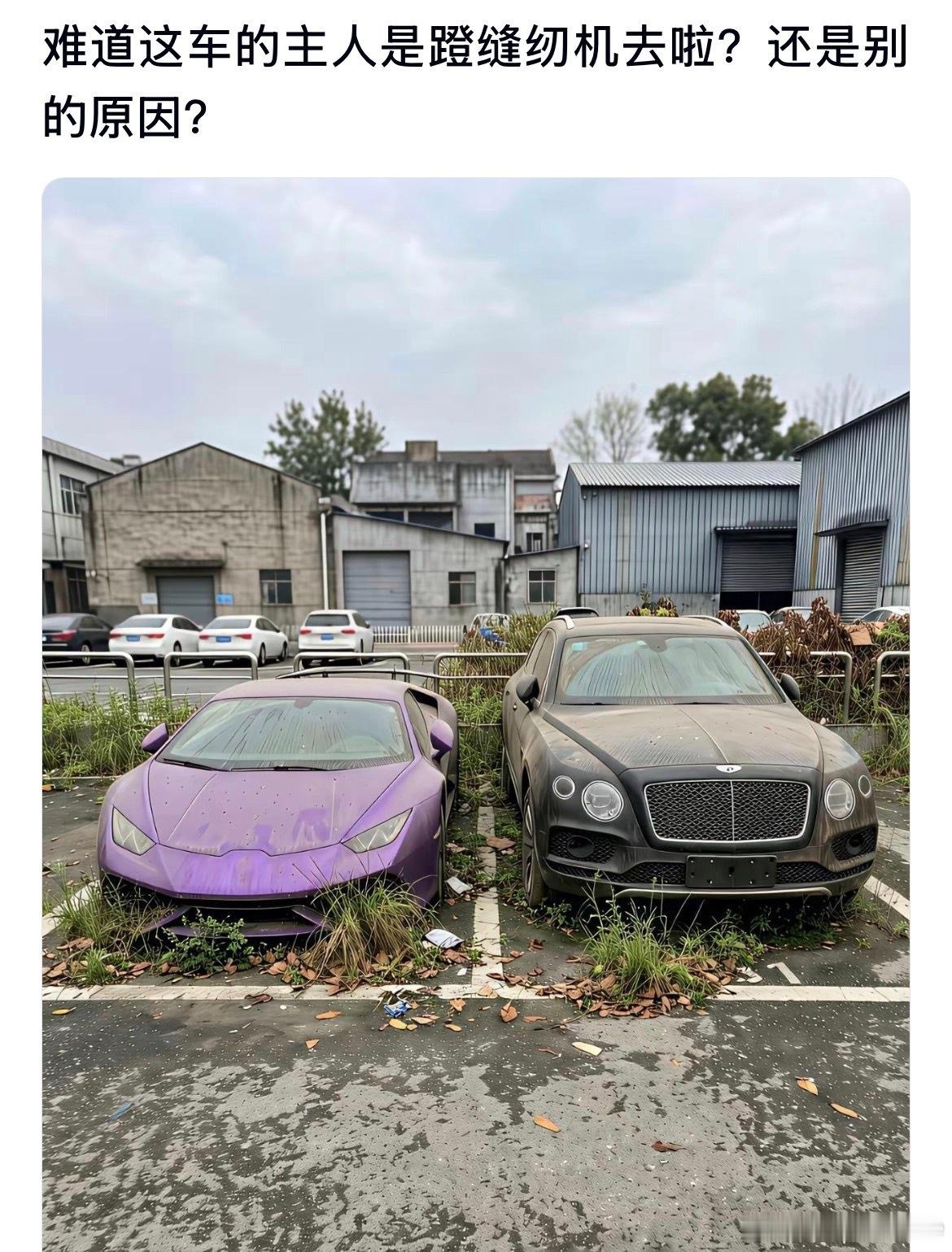 这车的主人是不是忘记他还有辆车了？还是别的原因？