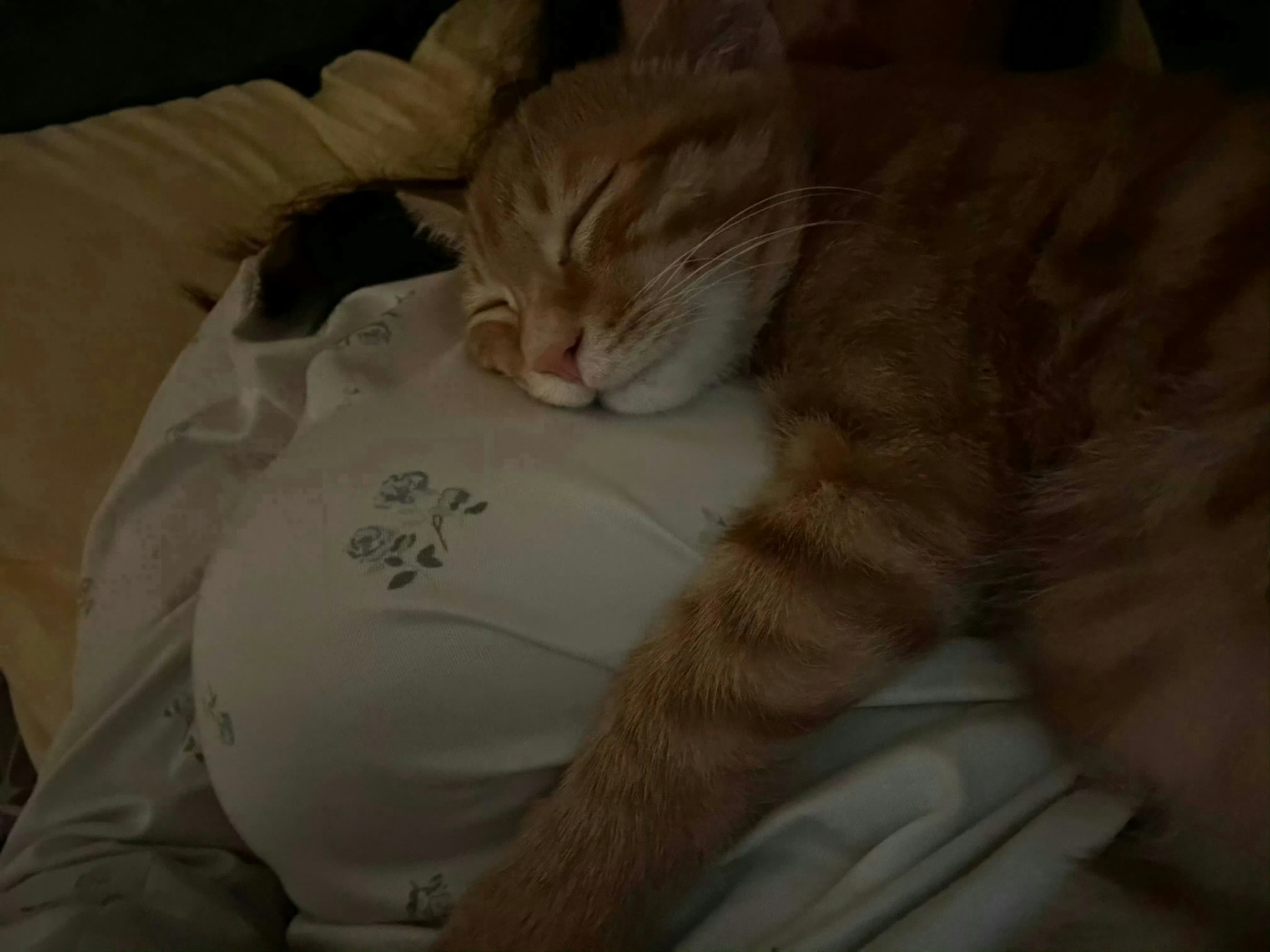 不要叫我姐姐你知道我最不吃这一套