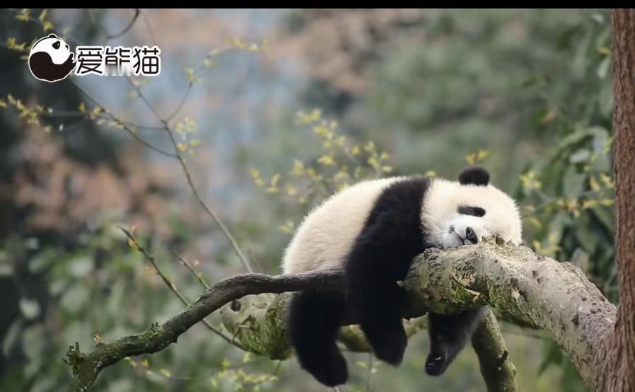 医疗界严冬降薪就算了绩效扣也忍了最最让人忍不了的是烤火费也不给发了怎么让