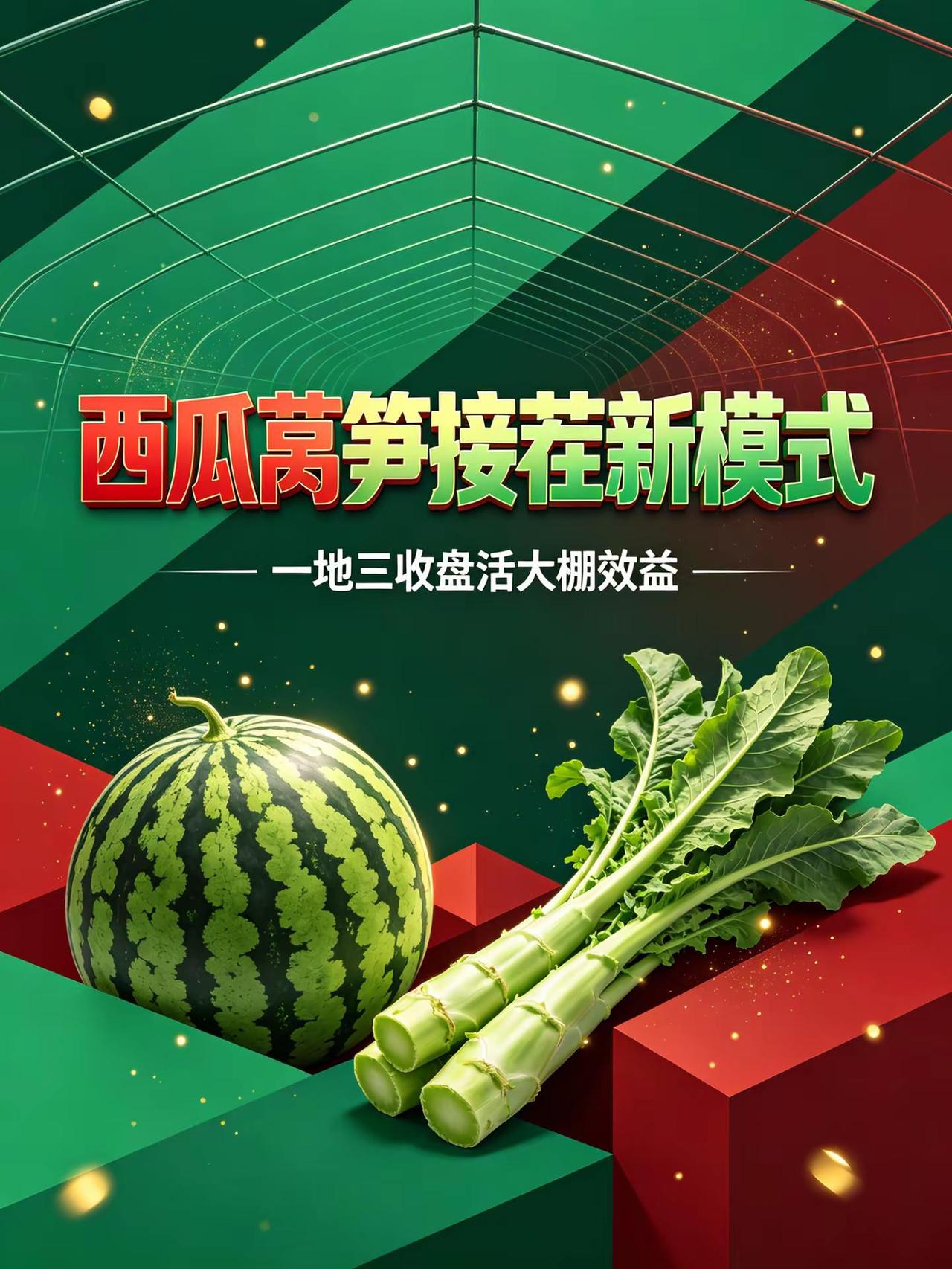 西瓜莴笋接茬新模式一地三收盘活大棚效益。西瓜种植莴笋种植