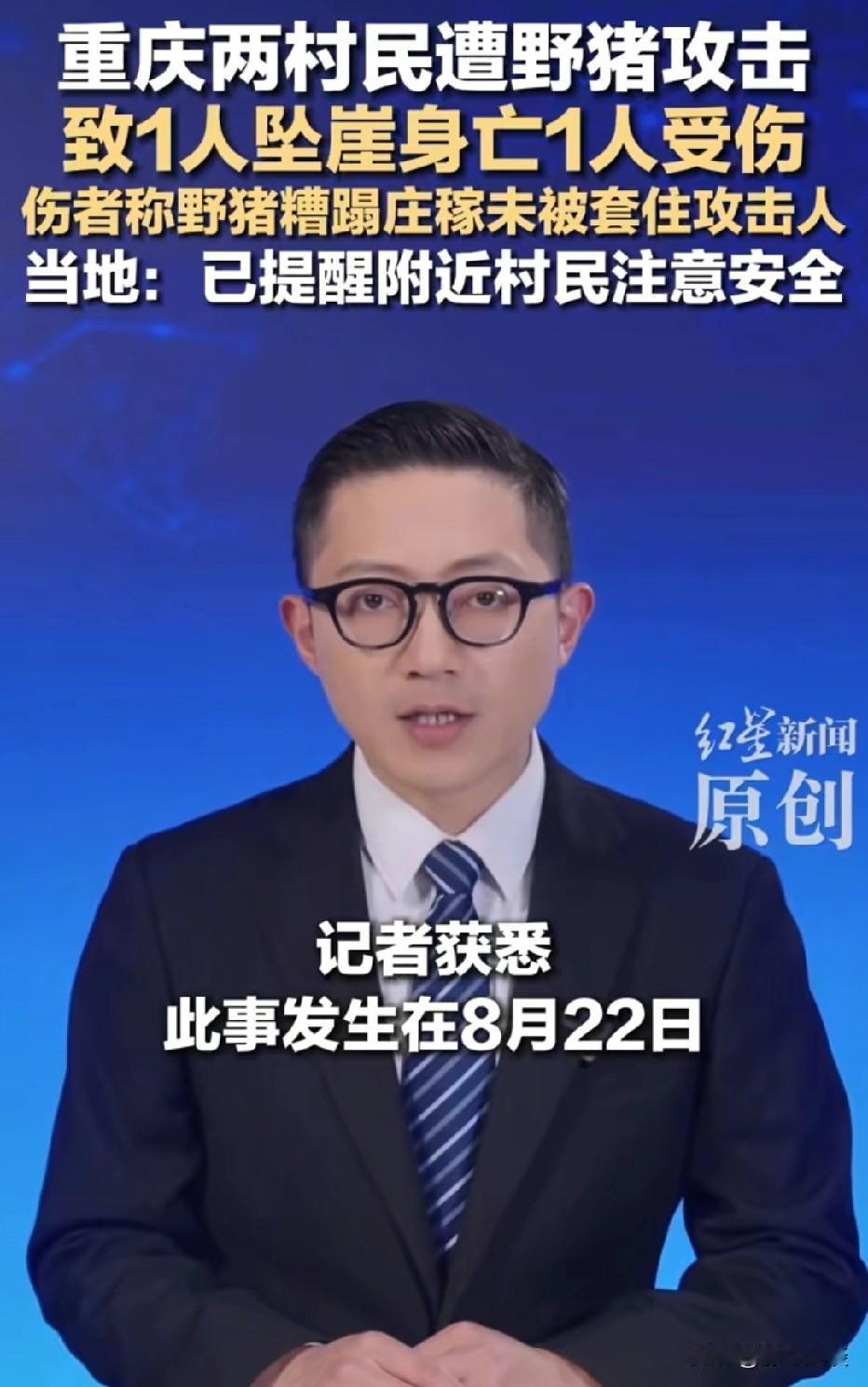 重庆，两村民发现庄稼遭到野猪糟蹋。两人心里十分心疼，经过商量，他们私自布设圈套，