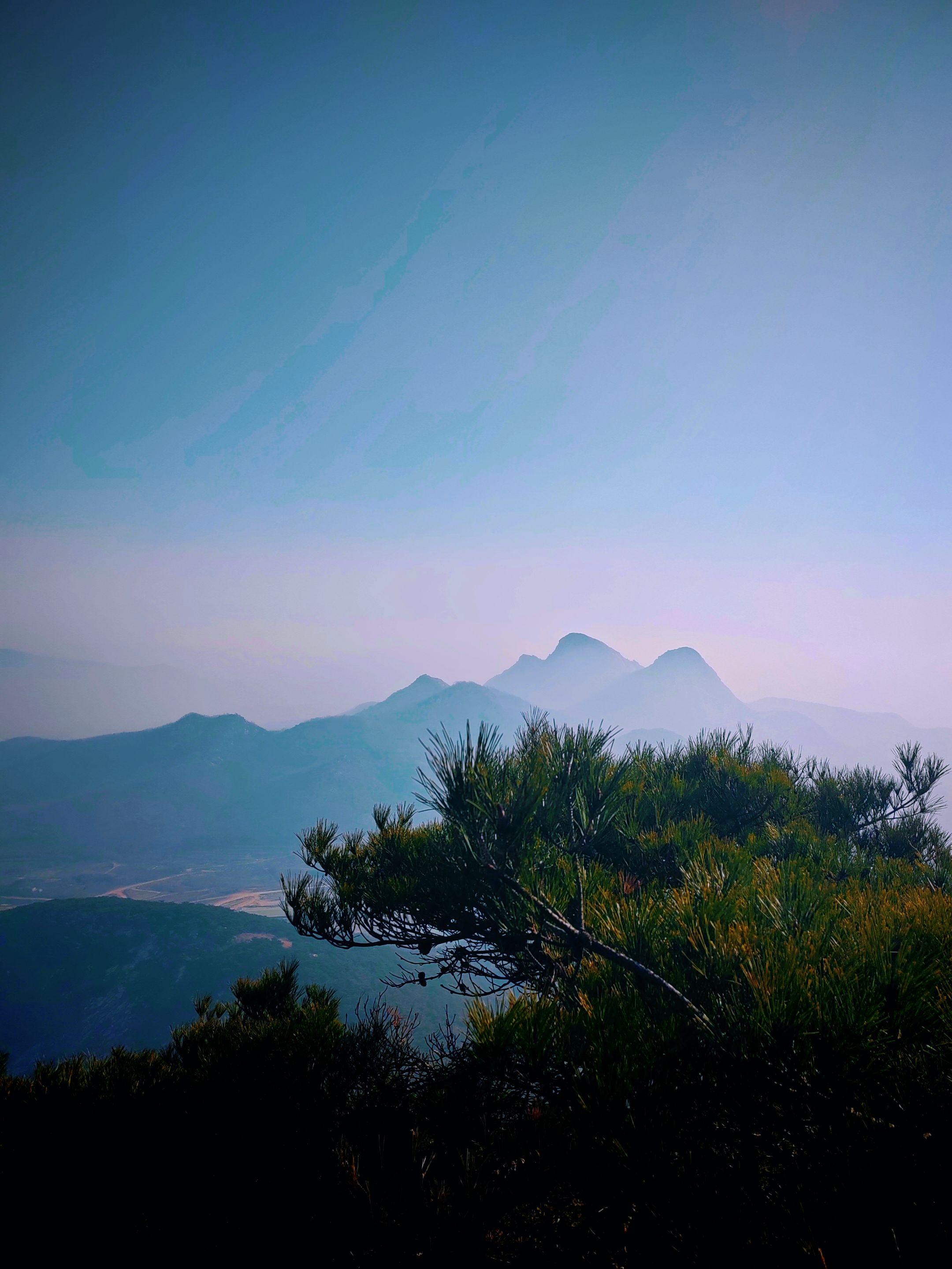 如果教育的尽头是抑郁、失业、躺平、啃老，那么教育就完全从培养走向了筛选...