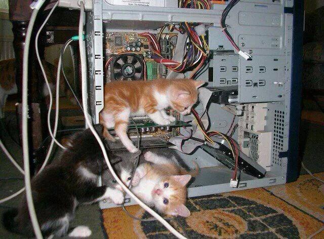 猫师傅们正在帮你修电脑，请不要着急哦！