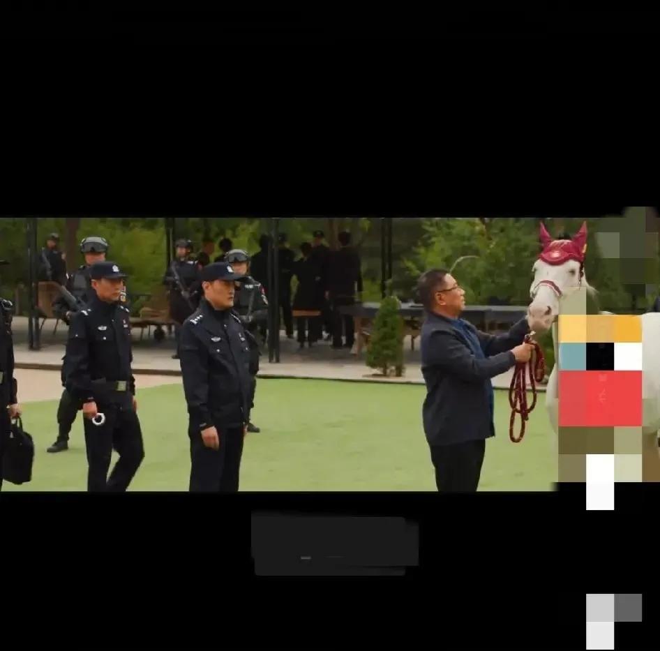 7.《以法之名》。洪亮之前让李人骏猜：在大学的时候，李人骏跟乔振兴竞争学生会ch