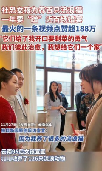 “看哭了！”云南保山，一女子为了养活收养的120多只流浪猫，一年内“蹭”了近百场