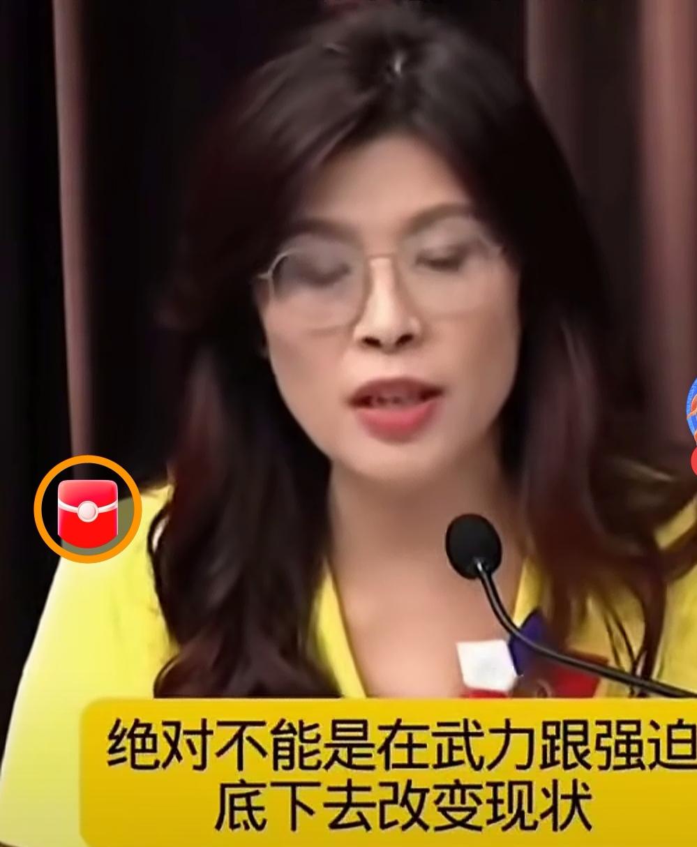 郑丽文阐述两岸前景:台湾统一不是简单的问题，需要和平，如果用武力改变现状是愚蠢的