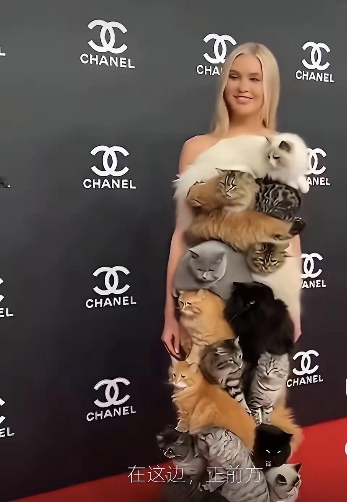 不得不说，设计这件猫咪裙的大师[哭哭]真是神人[捂脸哭]