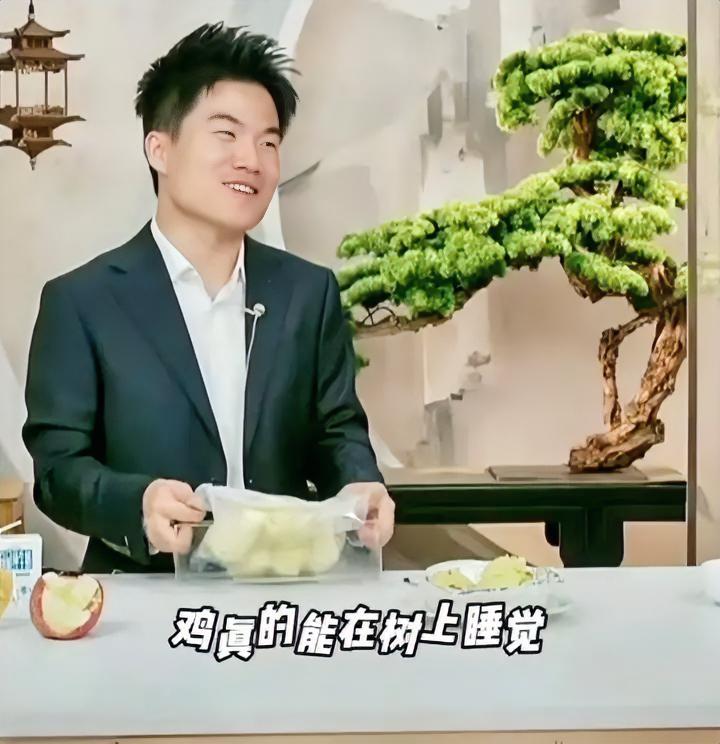真没见识，董宇辉说“鸡能在树上睡觉”，结果被直播间网友吐槽：“别吹牛了”。在农