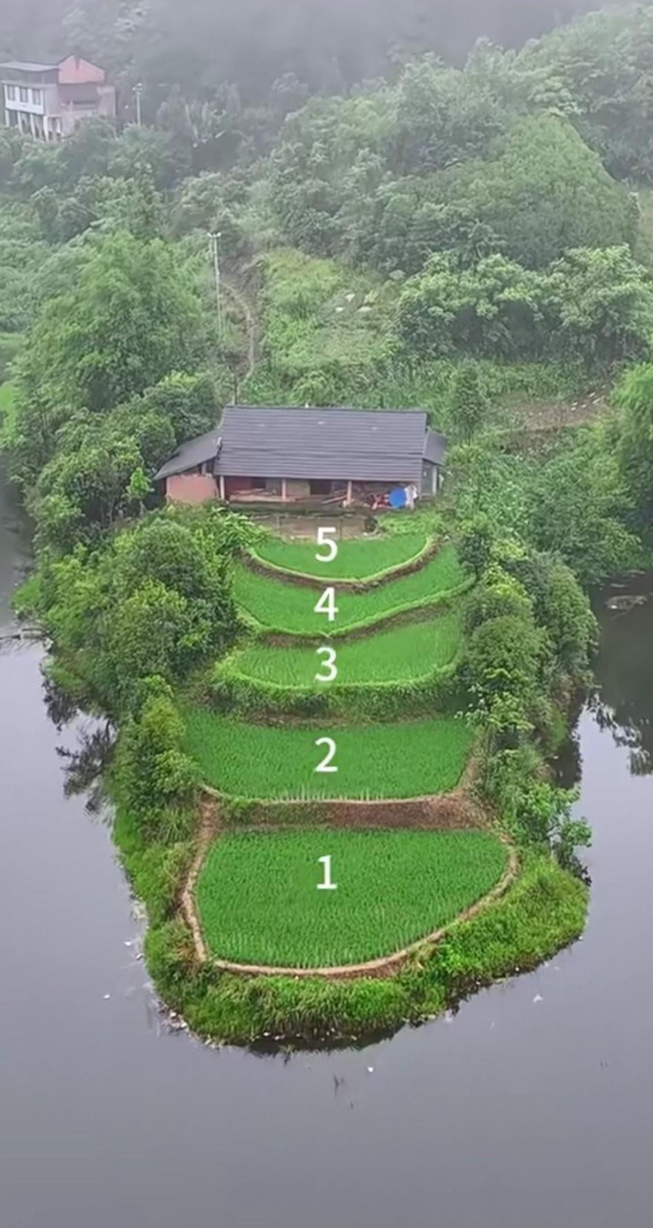 重庆深山里的一户人家，其所处之地三面环水，房屋背靠大山，屋前便是五阶稻田。不知可