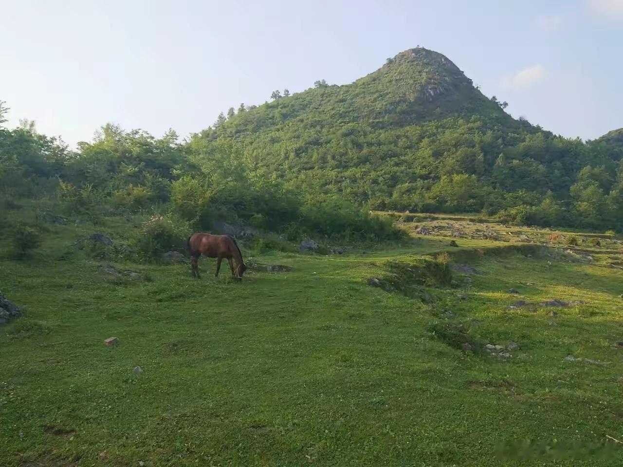 A股跌到3864点，最后的警告，无论你几成仓，听我一句劝！一、地量还在后头A股今