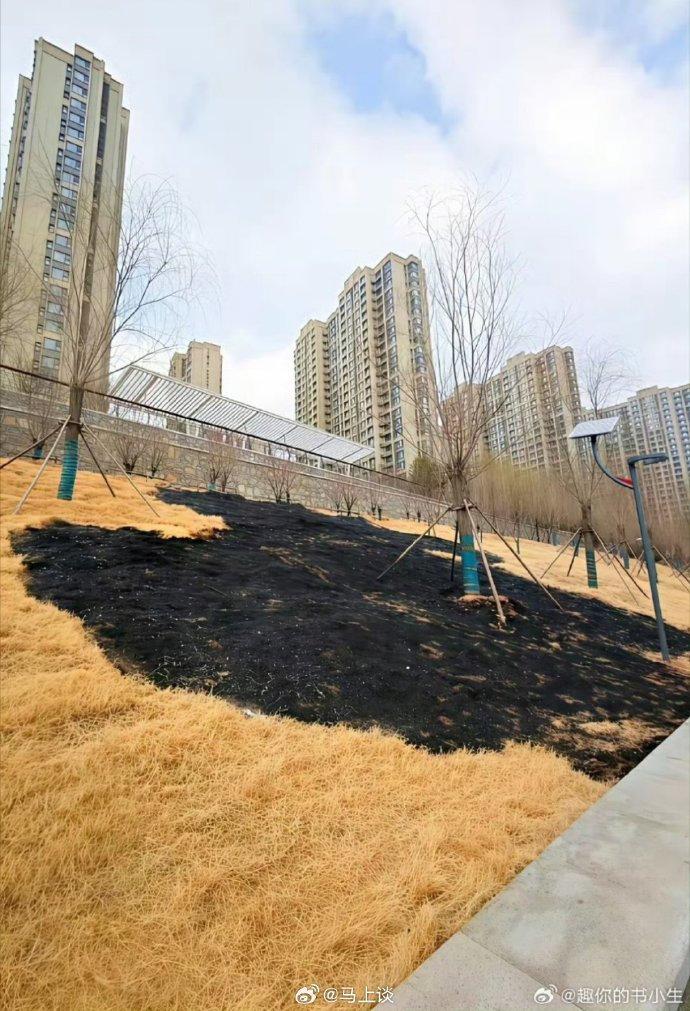 以前总纳闷，古代农民为啥非要烧荒？看完这两张对比图，瞬间就懂了！第一张图