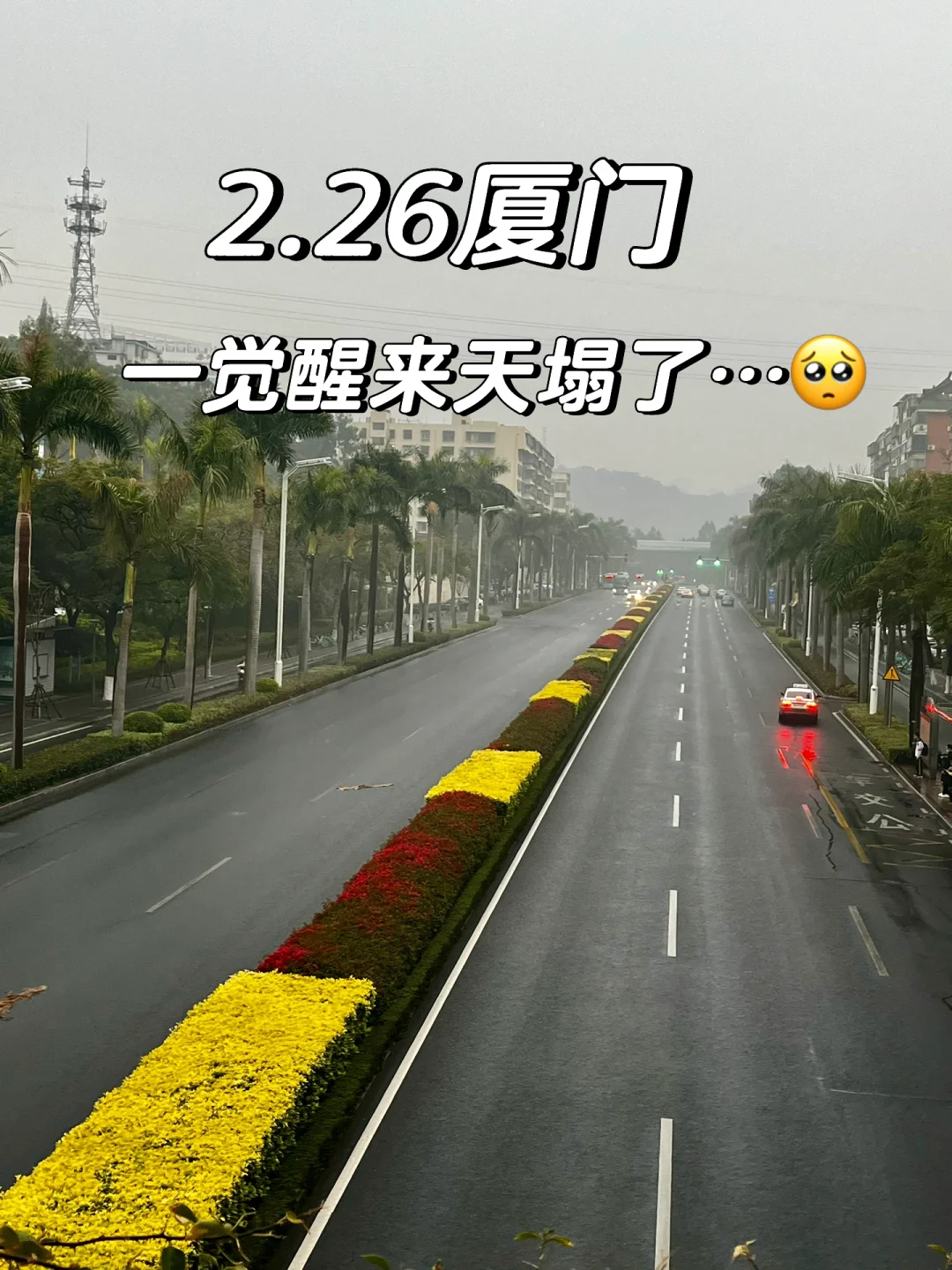 2.26厦门现状…一早醒来天塌了😭